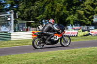 Vintage-motorcycle-club;eventdigitalimages;mallory-park;mallory-park-trackday-photographs;no-limits-trackdays;peter-wileman-photography;trackday-digital-images;trackday-photos;vmcc-festival-1000-bikes-photographs